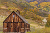 Weathered wooden barn near Telluride in the Uncompahgre Nati... by Danita Delimont