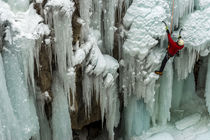 Ice climber ascending at Ouray Ice Park, Colorado von Danita Delimont