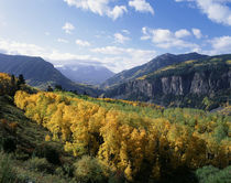 USA, Colorado, View of San Juan Mountains Range with aspen t... by Danita Delimont