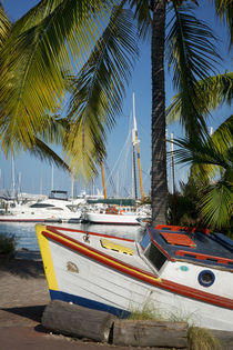 Old boat along the shore at the marina, Key West, Florida, USA by Danita Delimont
