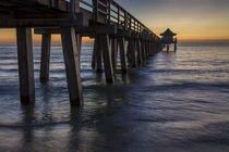 Below the pier at twilight, Naples, Florida, USA von Danita Delimont