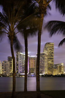 Twilight over Miami Skyline, Miami, Florida, USA von Danita Delimont