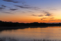 Sunrise clouds reflect into Nine Mile Pond in Everglades Nat... von Danita Delimont