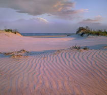 Beach at Little Talbot State Park, Little Talbot Island, Florida, USA by Danita Delimont