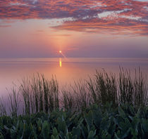 Sunrise over Indian River Marsh near Titusville, Florida, USA by Danita Delimont