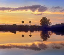 Silhouetted scenic, Everglades National Park, Florida, USA by Danita Delimont