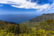 Kalalau Valley overlook in Kauai by Danita Delimont