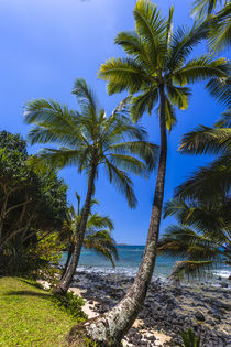 Tropical coastline of Princeville, HI by Danita Delimont