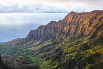 Overlooking the Kalalau Valley at sunset by Danita Delimont