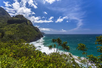 A view of the Na Pali coast from the Kalalau Trail by Danita Delimont