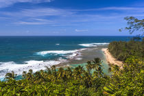 Tunnels Beach as seen from the Kalalau Trail in Kauai by Danita Delimont