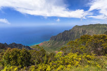 The Kalalau Valley overlook on the Hawaiian island of Kauai by Danita Delimont