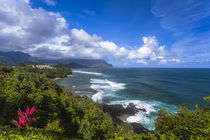 View of the northern coastline of the Hawaiian island of Kau... by Danita Delimont
