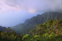 USA, Hawaii, Kauai by Danita Delimont
