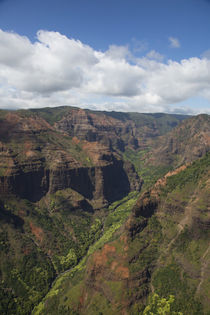 Waimea Canyon, Kauai, Hawaii von Danita Delimont