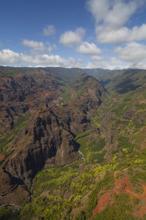 Olokele Canyon, Kauai, Hawaii by Danita Delimont