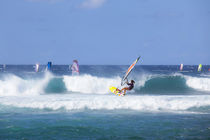 Windsurfing, Hookipa Beach Park, Maui, Hawaii von Danita Delimont