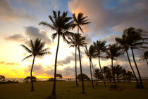 Sunrise, Wailua River State Park, Kauai, Hawaii von Danita Delimont
