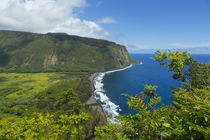 Waipio Valley, Hamakua Coast, Big Island, Hawaii von Danita Delimont