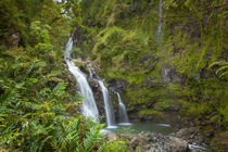 Waikani Falls, aka Three Bears, Hana Coast, Maui, Hawaii by Danita Delimont