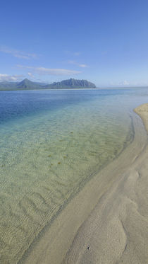 Sandbar, Kaneohe Bay, Oahu, Hawaii von Danita Delimont