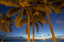 Twilight, Waikiki, Honolulu, Oahu, Hawaii by Danita Delimont