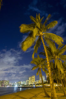 Twilight, Waikiki, Honolulu, Oahu, Hawaii von Danita Delimont