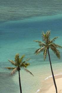 USA, Hawaii, Oahu, Honolulu, Waikiki, Fort DeRussy Beach and... by Danita Delimont