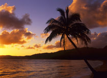 Kauai Sunrise 2 by Danita Delimont