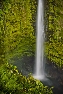 Lovely waterfalls and small cascades abound amid the lush tr... by Danita Delimont