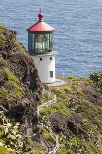 Makapu'u Point Lighthouse, Oahu, Hawaii. by Danita Delimont