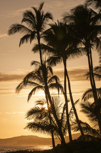 Sunset at Poipu beach, Kauai, Hawaii. von Danita Delimont