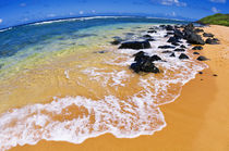 Larsen's Beach, North Shore, Island of Kauai, Hawaii von Danita Delimont