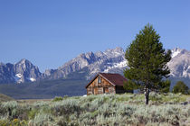 Idaho, Sawtooth National Recreation Area, Old Barn and the S... by Danita Delimont