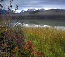Autumn scenic at Little Redfish Lake and Sawtooth Mountains,... von Danita Delimont