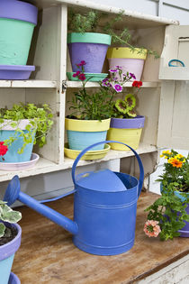 Potting bench with containers and flowers in spring, Marion ... by Danita Delimont