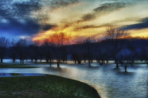 Trees in water on flooded golf course, Lafayette, Indiana by Danita Delimont