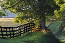 Farm fence at sunrise, Oldham County, Kentucky by Danita Delimont