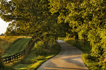 Rural road and fence at sunrise, Oldham County, Kentucky von Danita Delimont