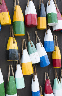Bar Harbor, Maine, colorful buoys on wall for sale and state... by Danita Delimont