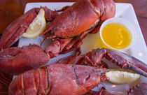 Portland, Maine, lobster dinner at famous Gilbert's Chowder ... von Danita Delimont