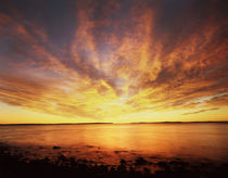 USA, Maine, Acadia National Park, Sunrise over the Atlantic Ocean. by Danita Delimont