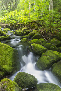 Perham Stream on Lone Mountain near the Appalachian Trail in... von Danita Delimont