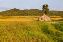 An old farm building in a field next to the Mars Hill wind f... by Danita Delimont