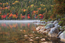 USA, Maine, Acadia National Park, Fall reflections with fog ... by Danita Delimont