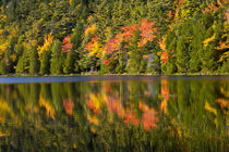 Autumn reflections, Bubble Pond, Acadia National Park, Maine, USA von Danita Delimont