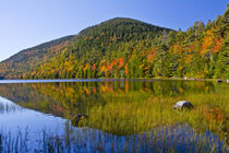 Autumn reflections, Bubble Pond, Acadia National Park, Maine, USA by Danita Delimont