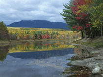 Mount Katahdin from Abel Creek in autumn, Baxter State Park, Maine by Danita Delimont