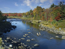 Fall colors along Union River near Bar Harbor, Maine by Danita Delimont
