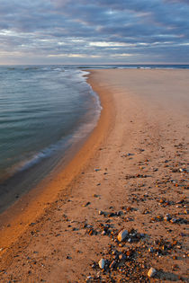 Head of the Meadow Beach, Cape Cod National Seashore, Truro,... by Danita Delimont